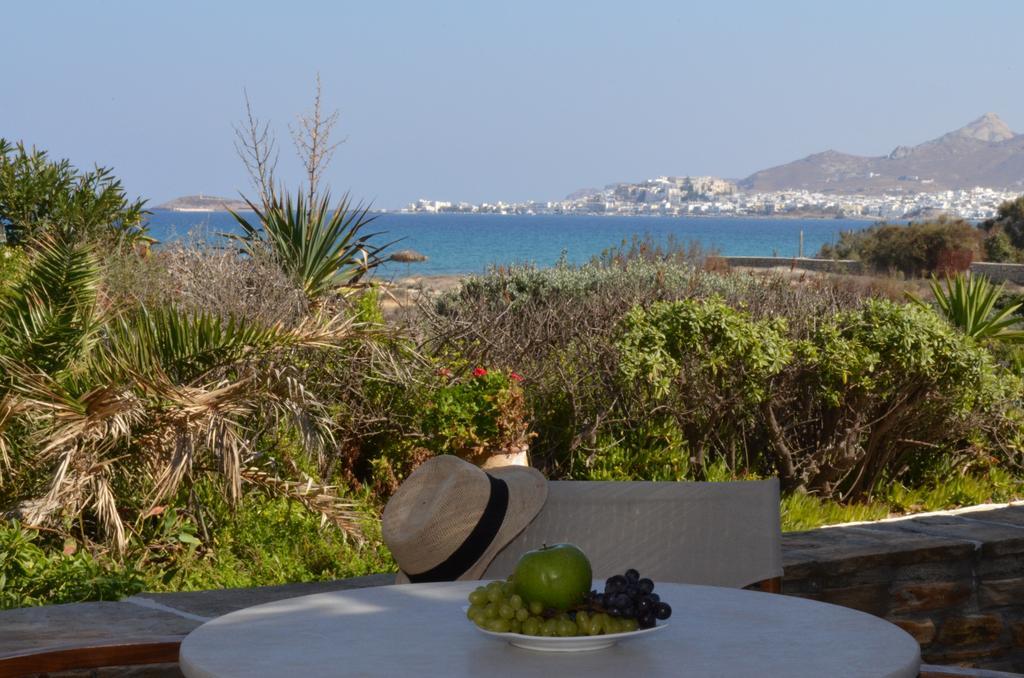 Villa Marandi Luxury Suites Stelida  Kamer foto